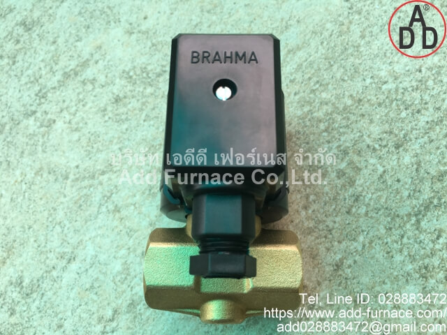 Brahma Type E6G*SR10*1/2*GMO (5)